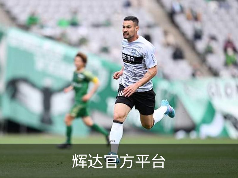 辉达官方平台简介
